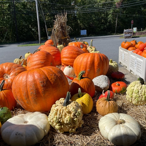 ACTIVE WEAR CLOSET SALE - Picture 1 of 1